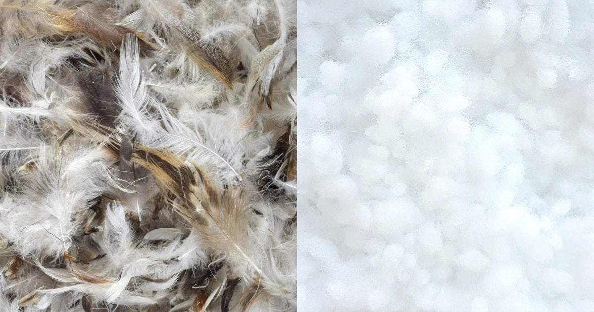 Inside Scoop: Feather Down vs. Poly Fill