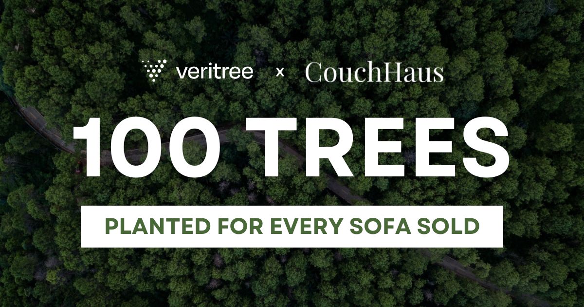 CouchHaus x veritree Partnership
