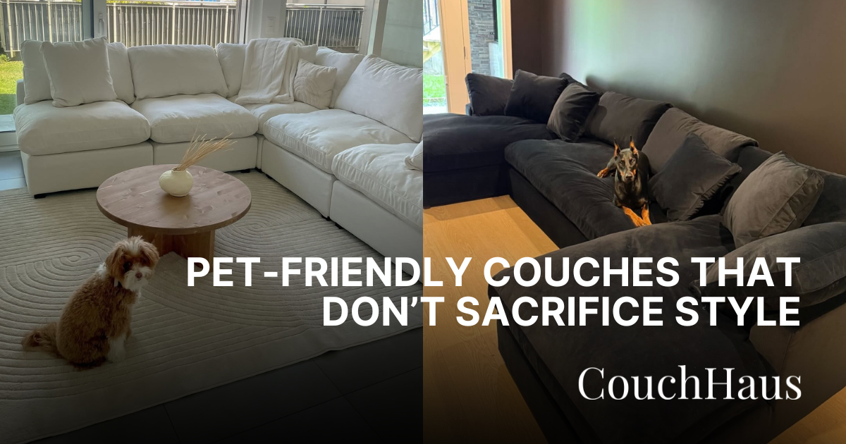Pet-Friendly Couches That Don’t Sacrifice Style