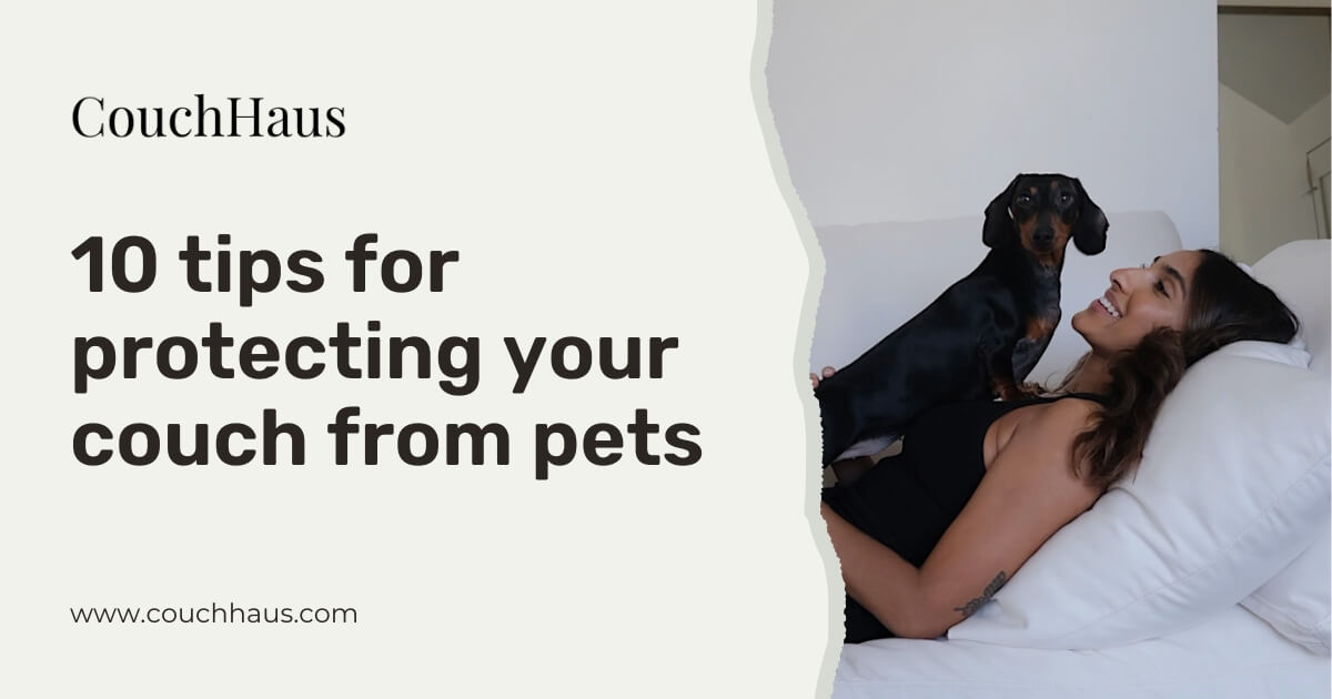 10 tips for protecting your couch from pets
